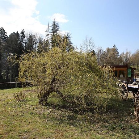 Вилла Le Veymont Saint-Martin-en-Vercors Экстерьер фото